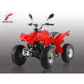 Kids 110cc ATV with CE for sale (FA-E110)